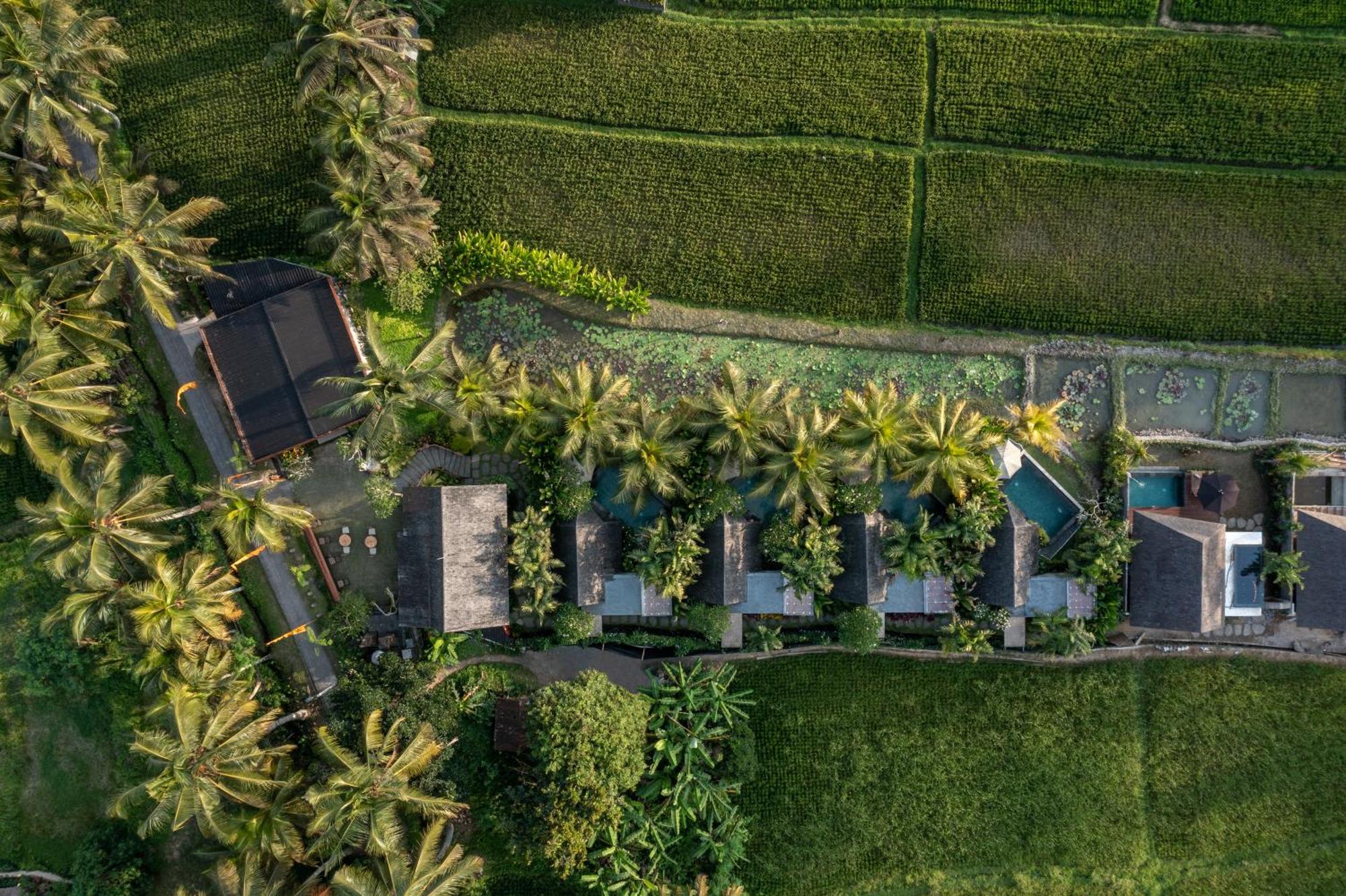 Lasamana Villas Ubud Exterior foto